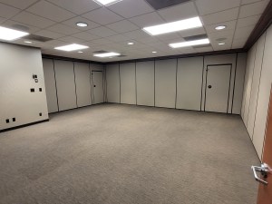 Single Room (Multi-purpose Space B)
